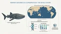 The Whale Shark 100: Applying Population Genomics to Understand Mysteries of the World's Largest Fish — research illustration
